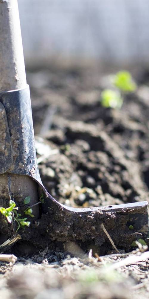 A shovel in dirt