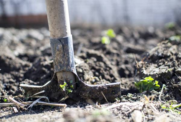 A shovel in dirt